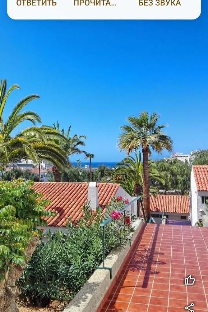 Apartamento Paradero Las Americas Playa de las Americas  Playa de las Americas (Tenerife)